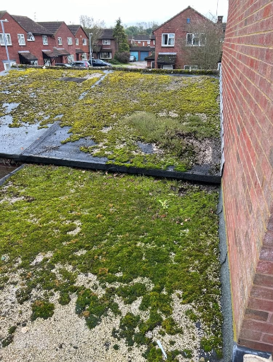Direct Roofing And Plastics Flat Roof Install Before 01 Medium